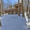 Bright Wintergreen Resort Home Deck and Grill! - Mount Torry Furnace