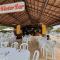 Apartamento WinterVille Residence em Gravatá 2 Qtos