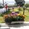 Dingle Wheelhouse