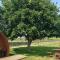 Sunny Mount Glamping Pod
