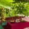 Apartman Rene