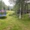 Surrounded by nature in Bjurholm - Bjurholm