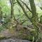 Wellstone Cottages - Jasmine with Private Hot Tub