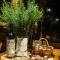 HomeForGuest Cosy rural flat El Romero with large gardens