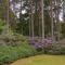 Haven Retreat Scotland - Large 4 Bed House with Woodland garden, Aboyne ,Royal Deeside - Aboyne