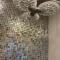 Culpeper Center Suites - Culpeper