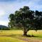 Fig Tree Farm B&B Highvale-Farmstay near Brisbane! - Highvale