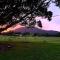 Fig Tree Farm B&B Highvale-Farmstay near Brisbane! - Highvale