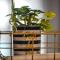 COSea Living: SeaSide Elegant Suite in Harbour 112