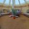 Glamping with Llamas