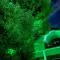 Apartment Green House