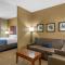 Comfort Inn & Suites Lynchburg Airport - University Area