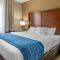 Comfort Inn & Suites Lynchburg Airport - University Area