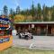 Whitetail Creek Camping Resort Whitetail Creek Camping Resort