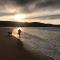 Salmon Landings - Strathy Point