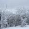 The MountainSide by Escapades Tremblant - مونت تريمبلانت