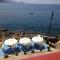 FAROS