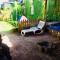 First Point Arusha Hostel - أروشا