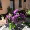 Milla Apartman