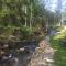 Whitetail Creek Camping Resort
