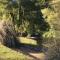 Domaine des Papeteries photo 17