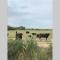 Maison indépendante et familiale en Camargue - 萨林德吉罗 Maison indépendante et familiale en Camargue - 萨林德吉罗