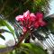 Brahmanhut - Eco Hut experience in harmony with nature, wellbeing and spirit - Bain Boeuf