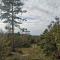 Forest House Balaton