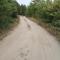 Forest House Balaton