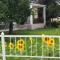APARTMANI Ricci R 2