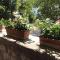 Vivere la natura in Umbria