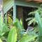 Hotel Flor de Bromelia