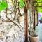 GRONO Apartamenty