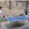Yosemite Bug Rustic Mountain Resort - Midpines