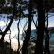 Hyams Beach - A Secret Treasure