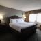 Wyndham Houston near NRG Park - Medical Center