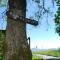 Chalet Baita Pimpisnino by Interhome