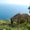 Holiday Home La dea della stella polare by Interhome