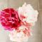PEONIA 2 posti Wi-Fi AC free park Jacuzzi