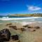 BIG4 Easts Beach Holiday Park - Kiama