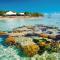 Heron Island