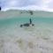 Heron Island