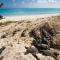 Heron Island