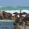 Beachcombers - Agulhas