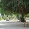 Bangbaobeach Resort