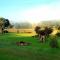 Blackwood Valley Suites