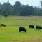 Blackwood Valley Suites