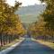 Saxenburg Wine Farm