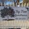 Fig Tree - Colesberg