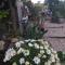 切斯布朗住宿加早餐旅馆 - Saint-Thomas-de-Cônac 切斯布朗住宿加早餐旅馆 - Saint-Thomas-de-Cônac
